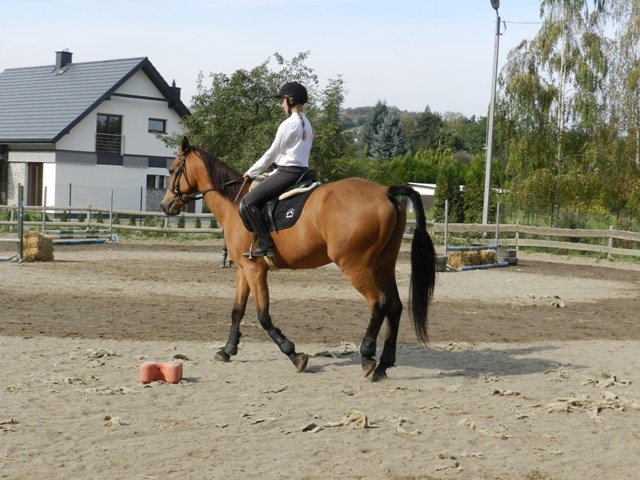 Babie Lato 2016